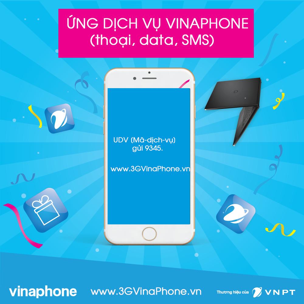 kiểm tra dịch vụ sim Vina qua Internet (Nguồn: 3gVinaphone.vn)