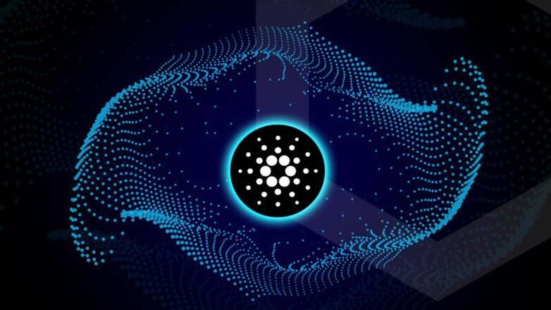 image-cover