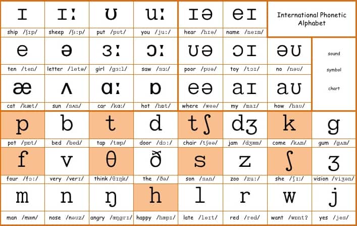 học phát âm theo bảng IPA