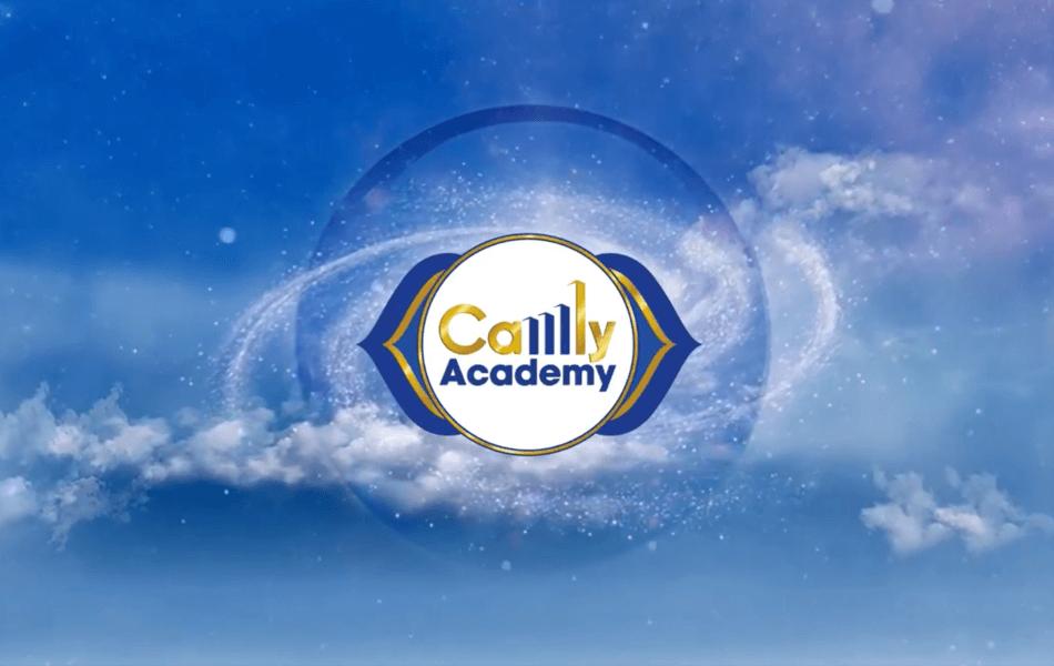 Các khóa học trực tuyến tại Camly Academy với nhiều chủ đề đa dạng