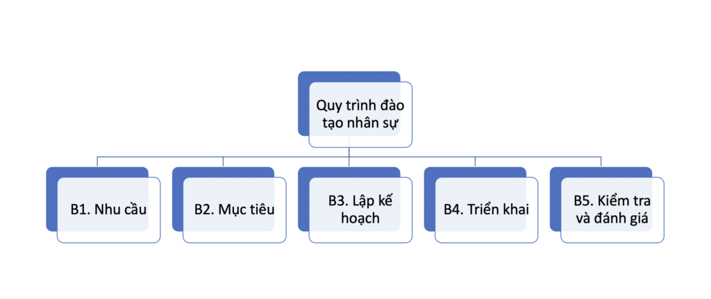 Sơ đồ quy trình đào tạo nhân sự đúng chuẩn cho mọi doanh nghiệp | ELSA Speak