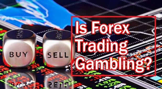 Forex trading không phải đánh bạc