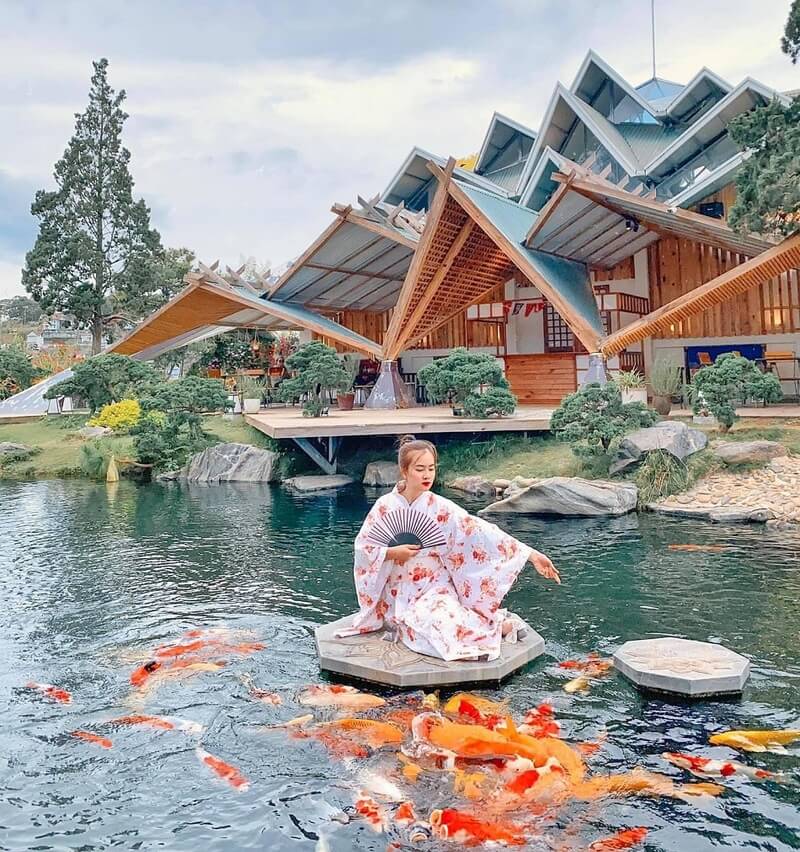 Tiểu cảnh hồ cá Koi siêu đẹp