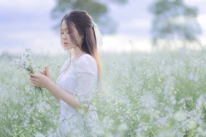 Chụp hình tại cánh đồng hoa cải trắng Đà Lạt