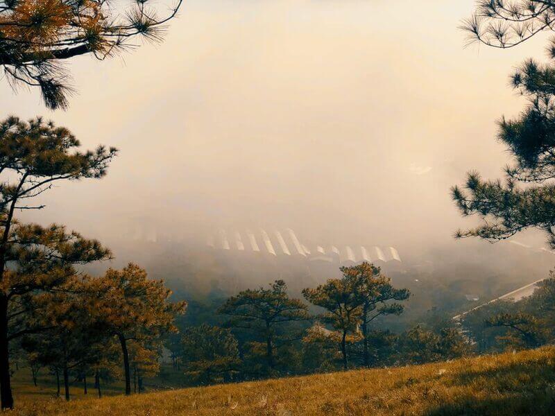 Khung cảnh sáng sớm trên đồi Đa Phú Đà Lạt