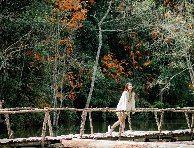 Khung cảnh lãng mạn tại Secret Garden Đà Lạt