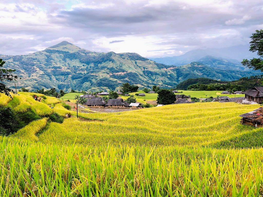 ruong-bac-thang-ban-phung