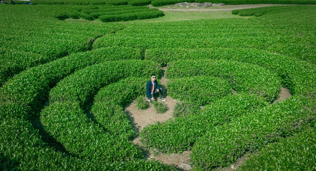 Đồi chè Trái Tim đẹp thơ mộng