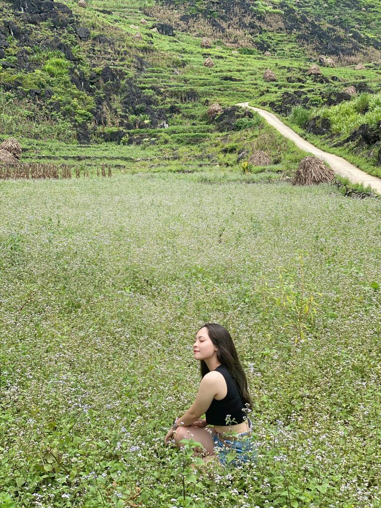 Lễ hội hoa Tam Giác Mạch thưởng tổ chức vào cuối năm