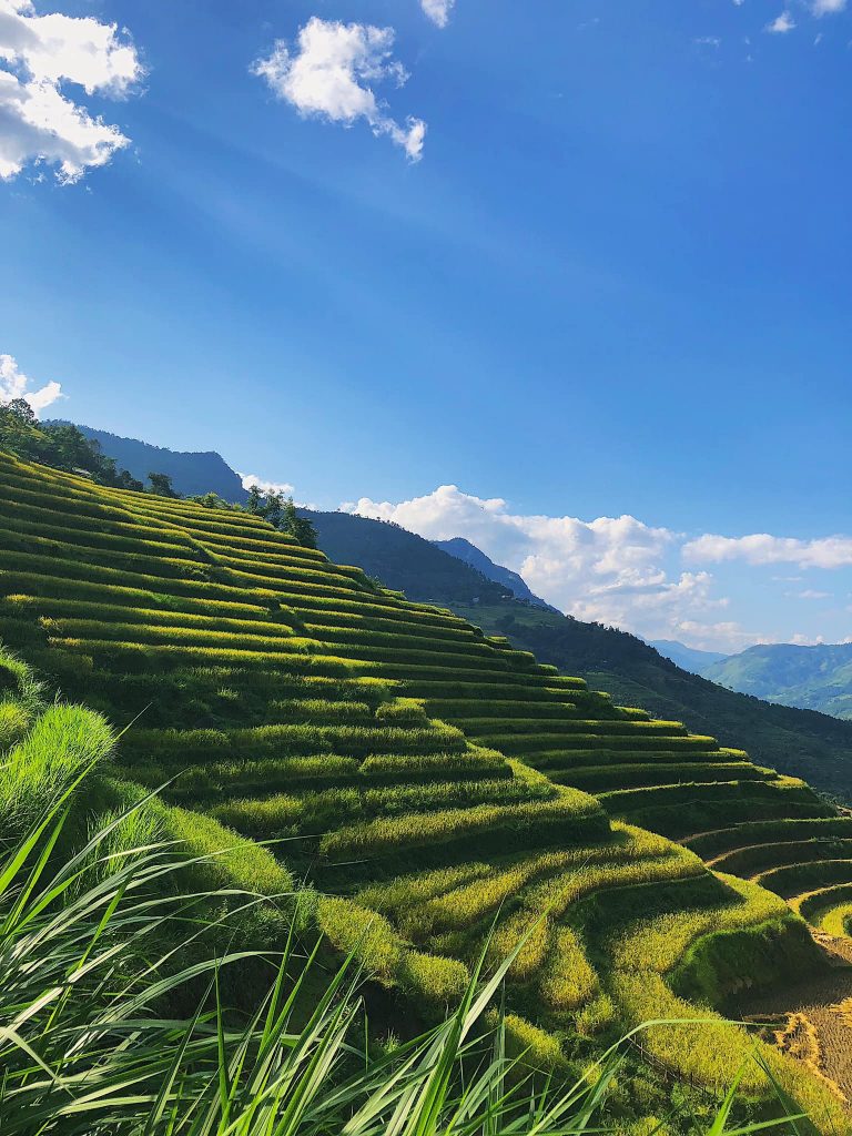 khung-canh-ruong-bac-thang