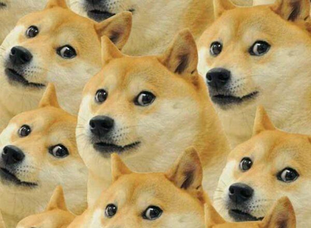 Nguồn gốc hình thành đồng Shiba Inu