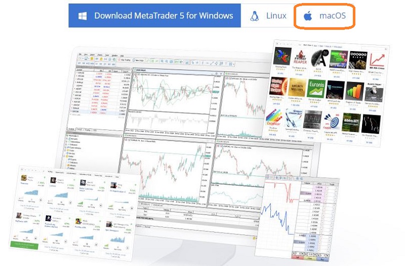 MT5 là gì? Download MT5 cho macOS