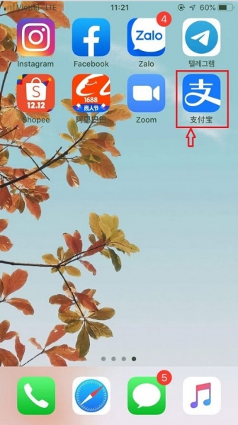 Quá trình cài đặt Alipay trên iOS hoàn tất