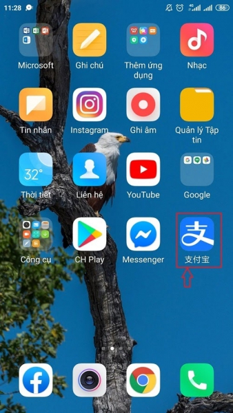 Quá trình cài đặt Alipay trên Android đã hoàn tất