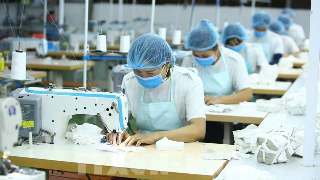 Ứng tuyển công nhân sản xuất có cần bằng cấp không?