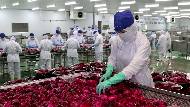 Cơ hội phát triển việc làm công nhân sản xuất 2022