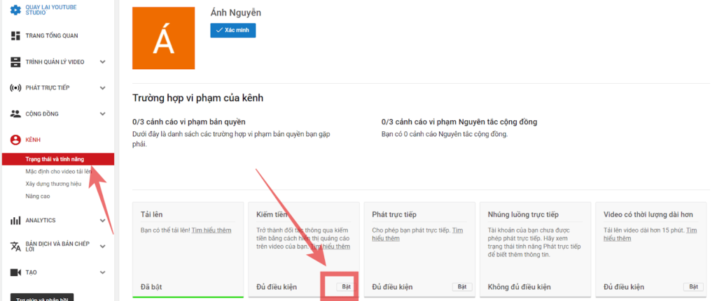 Bật kiếm tiền để có thể kiếm tiền từ Youtube