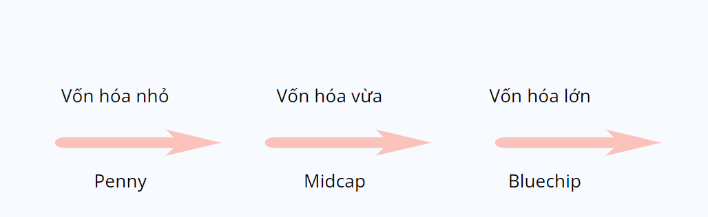 Các loại cổ phiếu Bluechip, Midcap và Penny
