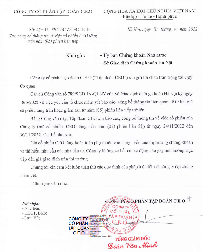 Bản báo cáo của Công ty Cổ phần Tập Đoàn CEO