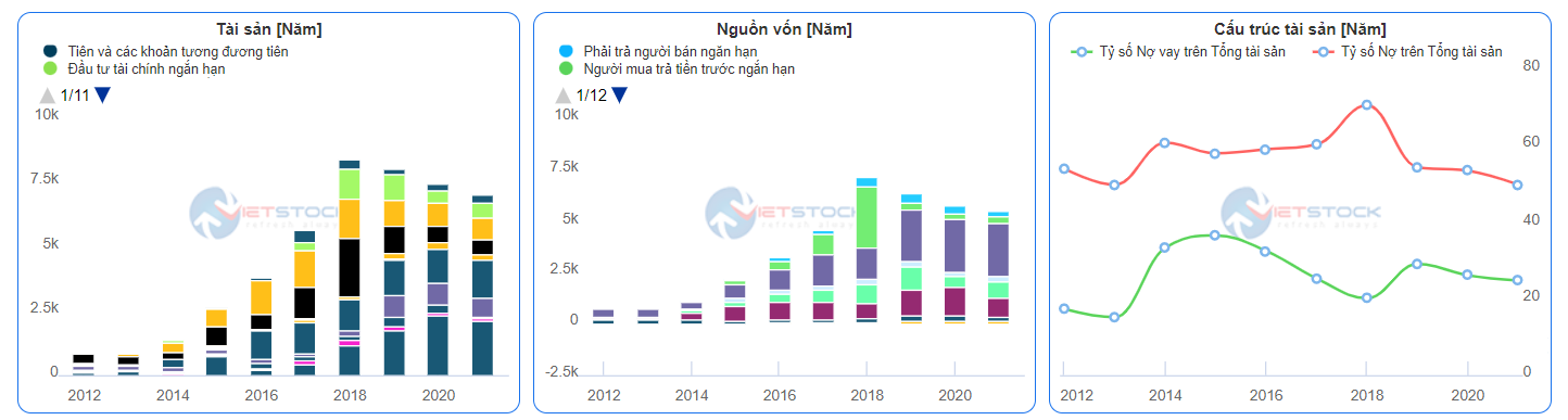 Nhận định cổ phiếu CEO trong tương lai 