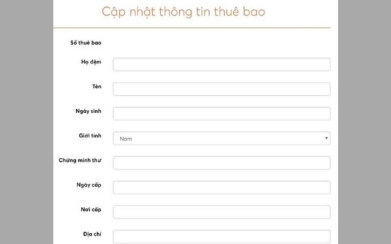 Cập nhật thông tin thuê bao Vietnamobile