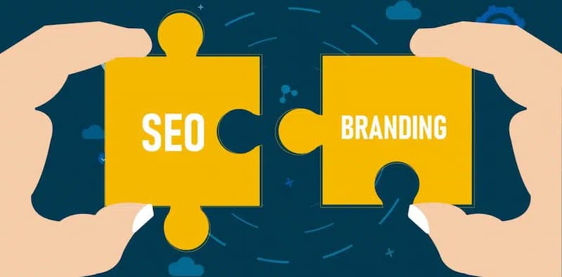 seo spa