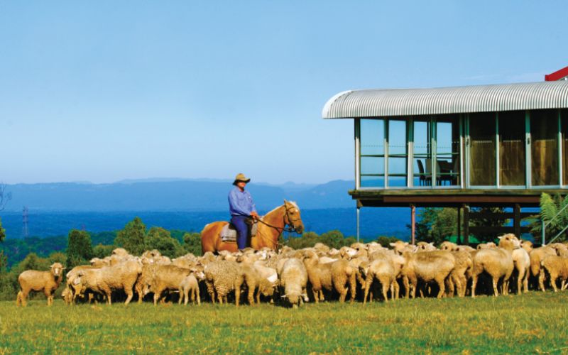 Định cư Úc diện đầu tư trang trại nông nghiệp