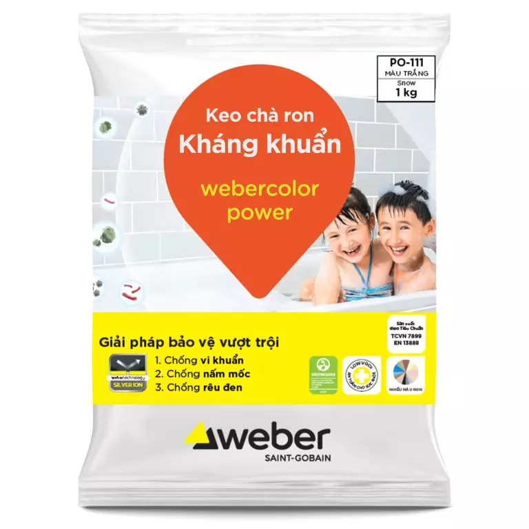 Webercolor power - hỗ trợ trong cải tạo nhà cấp 4