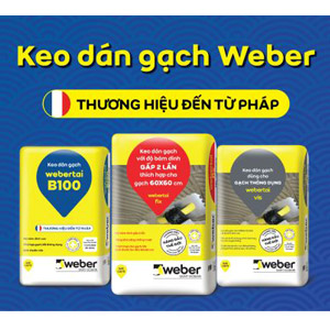 image-cover
